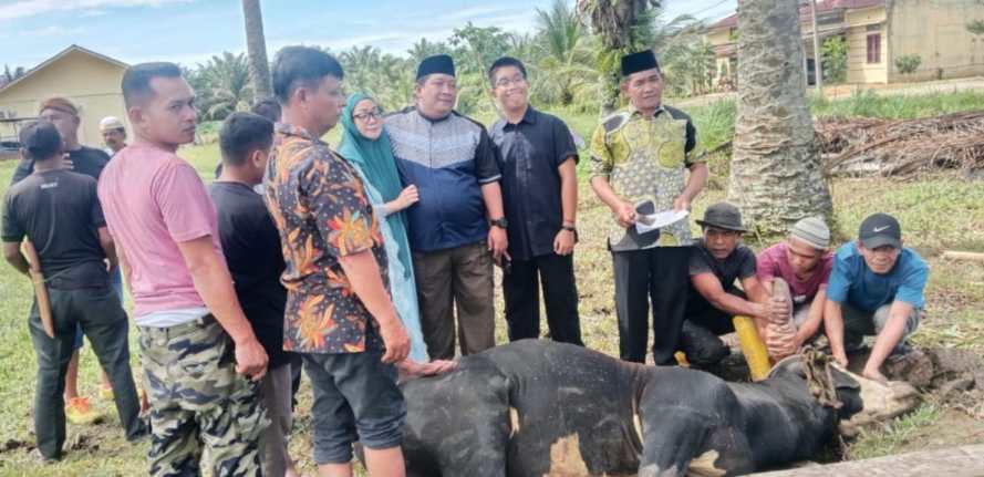 Polres Padang Lawas Sembelih 5 Ekor Sapi 2 Ekor Kambing di Hari Raya Idhul Adha 1445 H