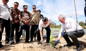 Foto Wagub Sumut Dampingi Delegasi Temasek Singapura Kunjungi Kawasan TSTH Humbahas 4.jpg Wakil Gubernur Sumatera Utara Surya menghadiri kegiatan kunjungan lapangan bersama delegasi Temasek Singapura di kawasan Taman Sains Teknologi Herbal dan Hortikultura (TSTH2), Jum'at (10/7/2026). Foto/Diskominfo Sumut